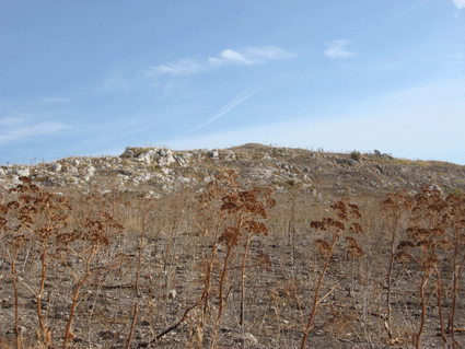 Acropoli su Caltafaraci 