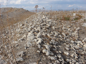 Mura dionigiane crollate